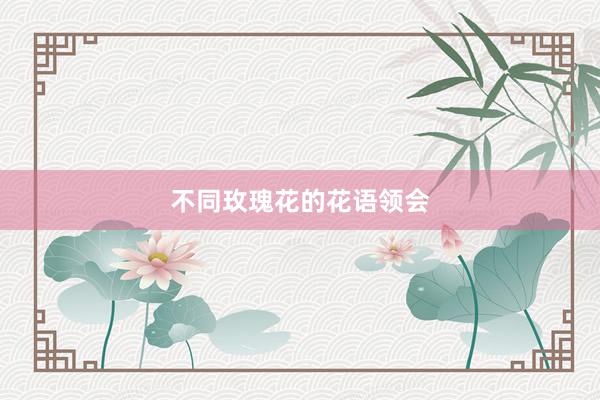 不同玫瑰花的花语领会