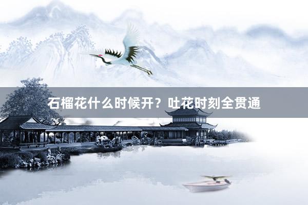 石榴花什么时候开？吐花时刻全贯通